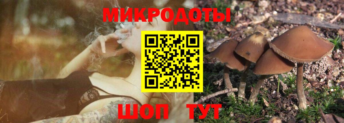 Калач-на-Дону  Псилоцибиновые грибы GOLDEN TEACHER  Вход с VPN  Галлюциногенные грибы мицелий 